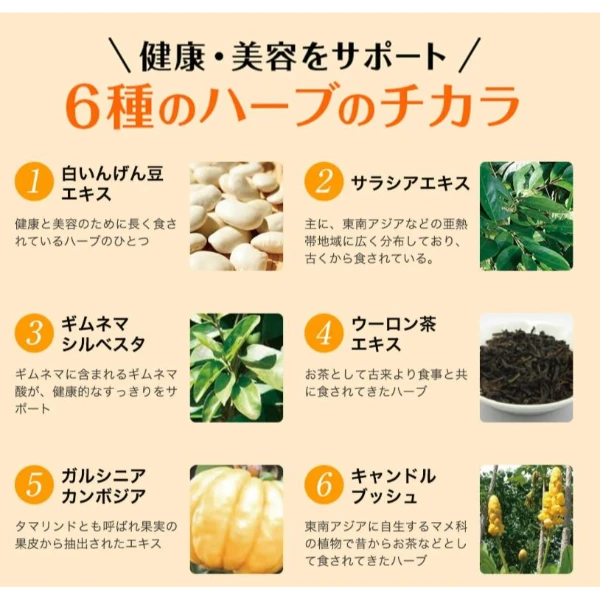 SVELTY 糖質3倍分解酵母甲殼素酵素 加強版 100粒
